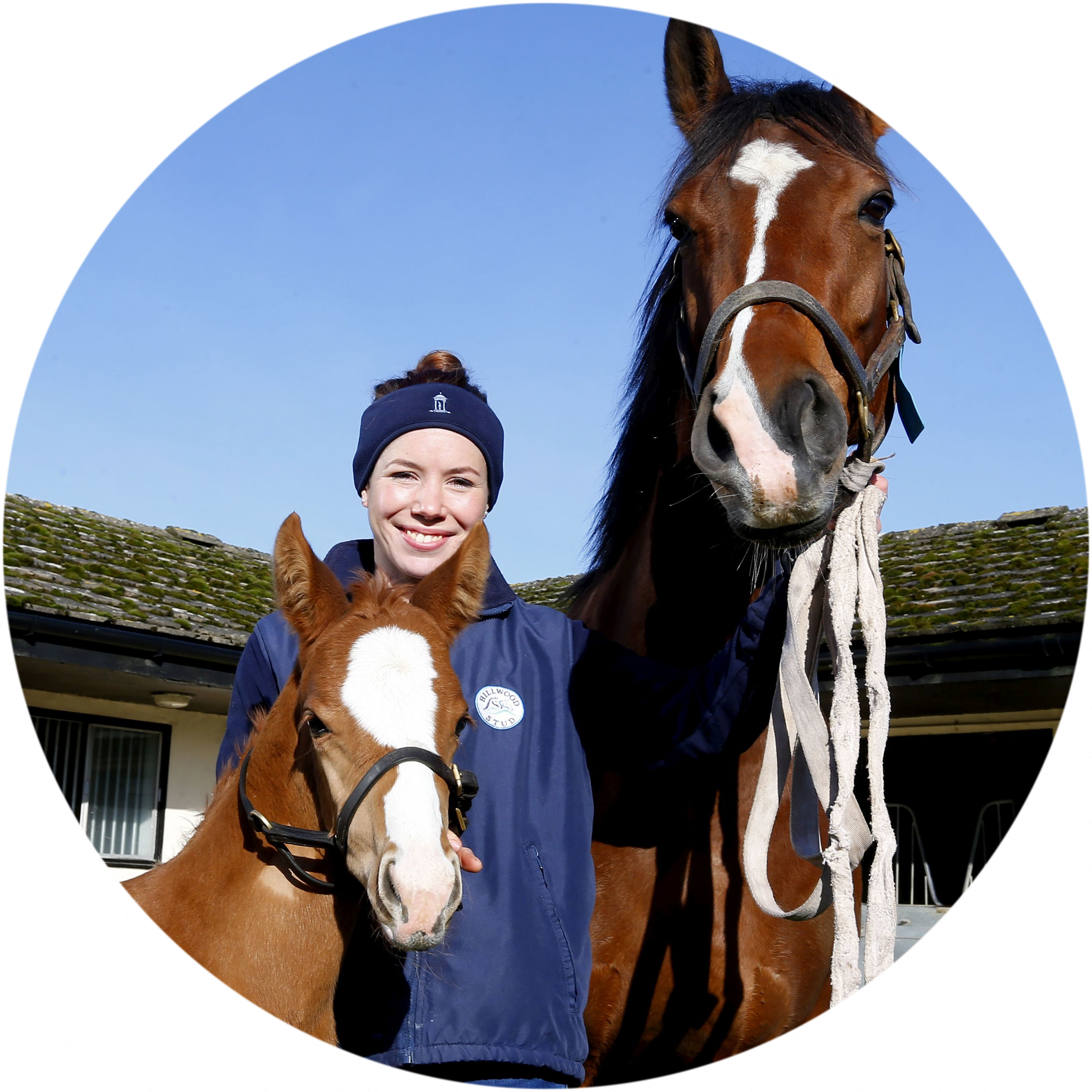 British Grooms Association member with racing youngstock