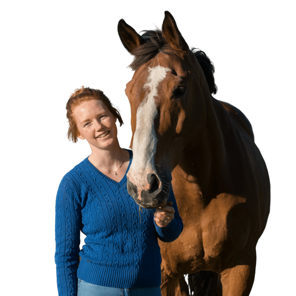 An equine Traineeship groom