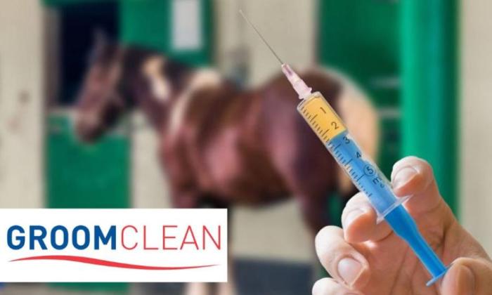 GroomClean-cleansportweek