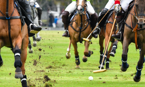 Grooms Life Article Image
