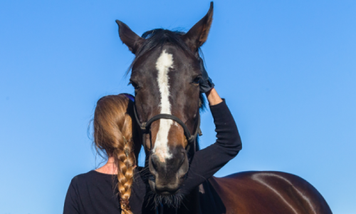 Grooms Life Article Image