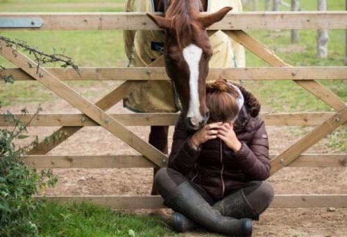 Grooms Life Article Image