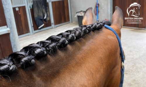 Grooms Life Article Image